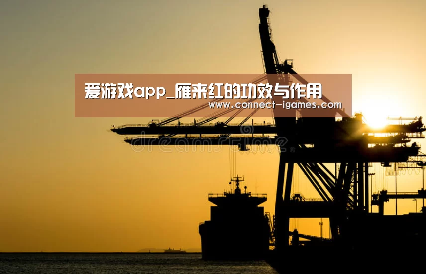 爱游戏app_雁来红的功效与作用(图1) 爱游戏app