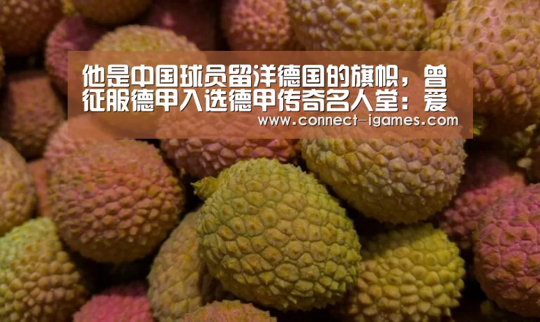 他是中国球员留洋德国的旗帜，曾征服德甲入选德甲传奇名人堂：爱游戏体育直播(图3)