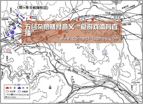 爱游戏体育直播